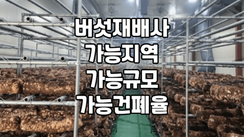 버섯재배사에서 버섯 농사를 짓는 모습