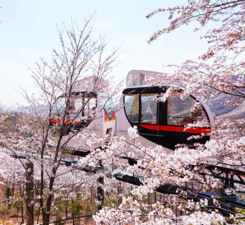 화담숲 모노레일 예약하러 가기