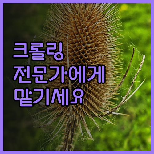 데이터 크롤링, 이제 전문가에게 맡기