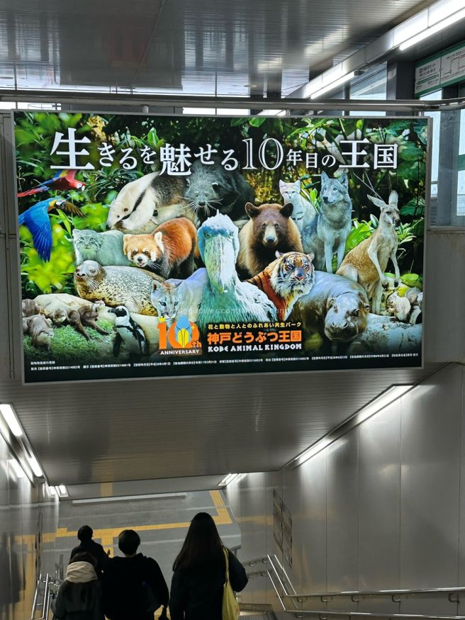 고베 동물왕국