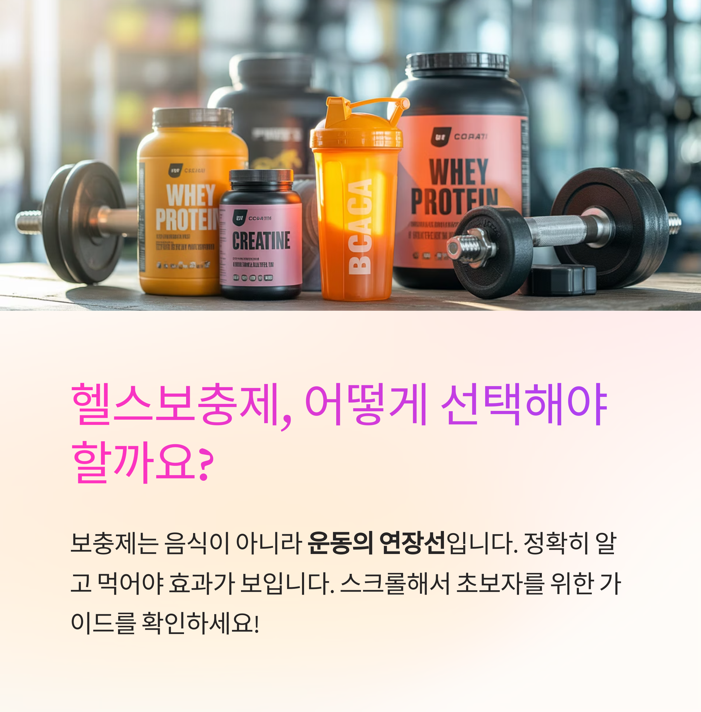 헬스보충제 기초 가이드: 단백질부터 BCAA까지 초보를 위한 선택법