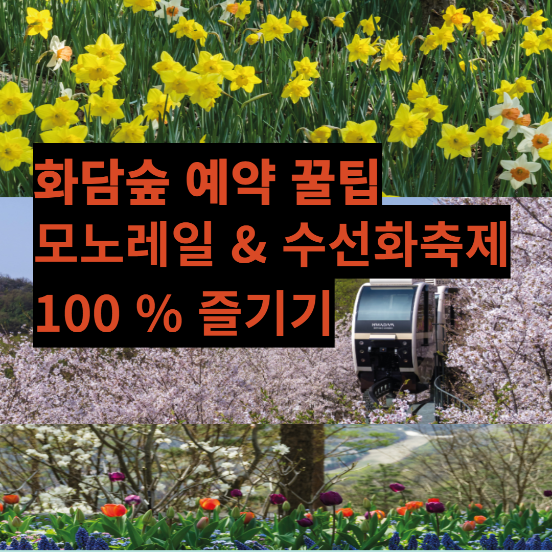 화담숲 예약, 모노레일, 수선화축제