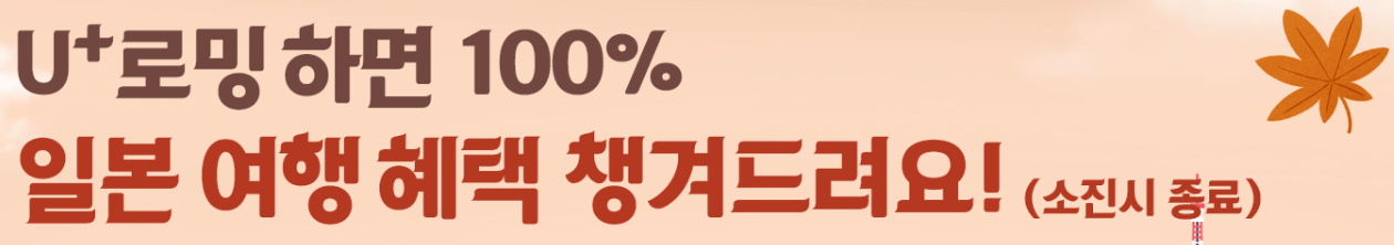 로밍 유심 휴대용 와이파이 차이점 lgu+