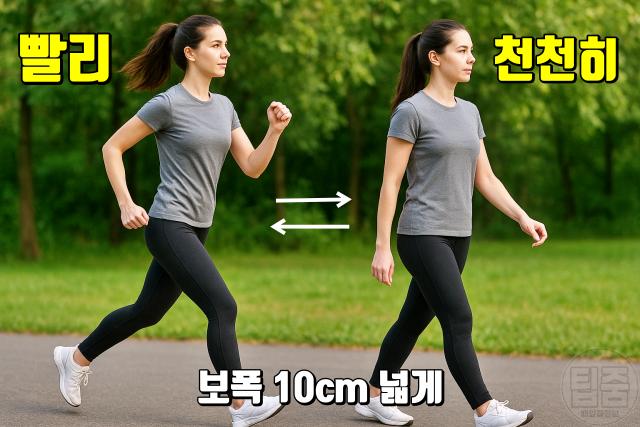 뱃살 빼는법 똥배 단기간 다이어트 인터벌 걷기 보폭