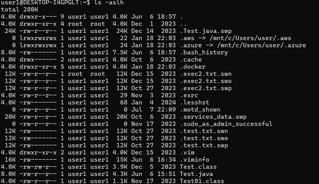 ls -aslh