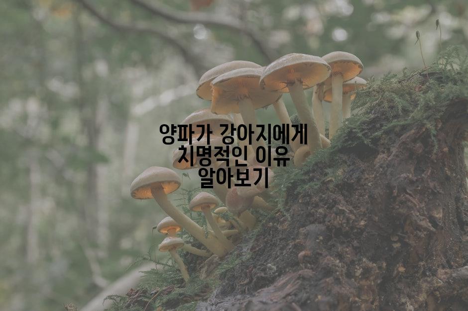양파가 강아지에게 치명적인 이유 알아보기