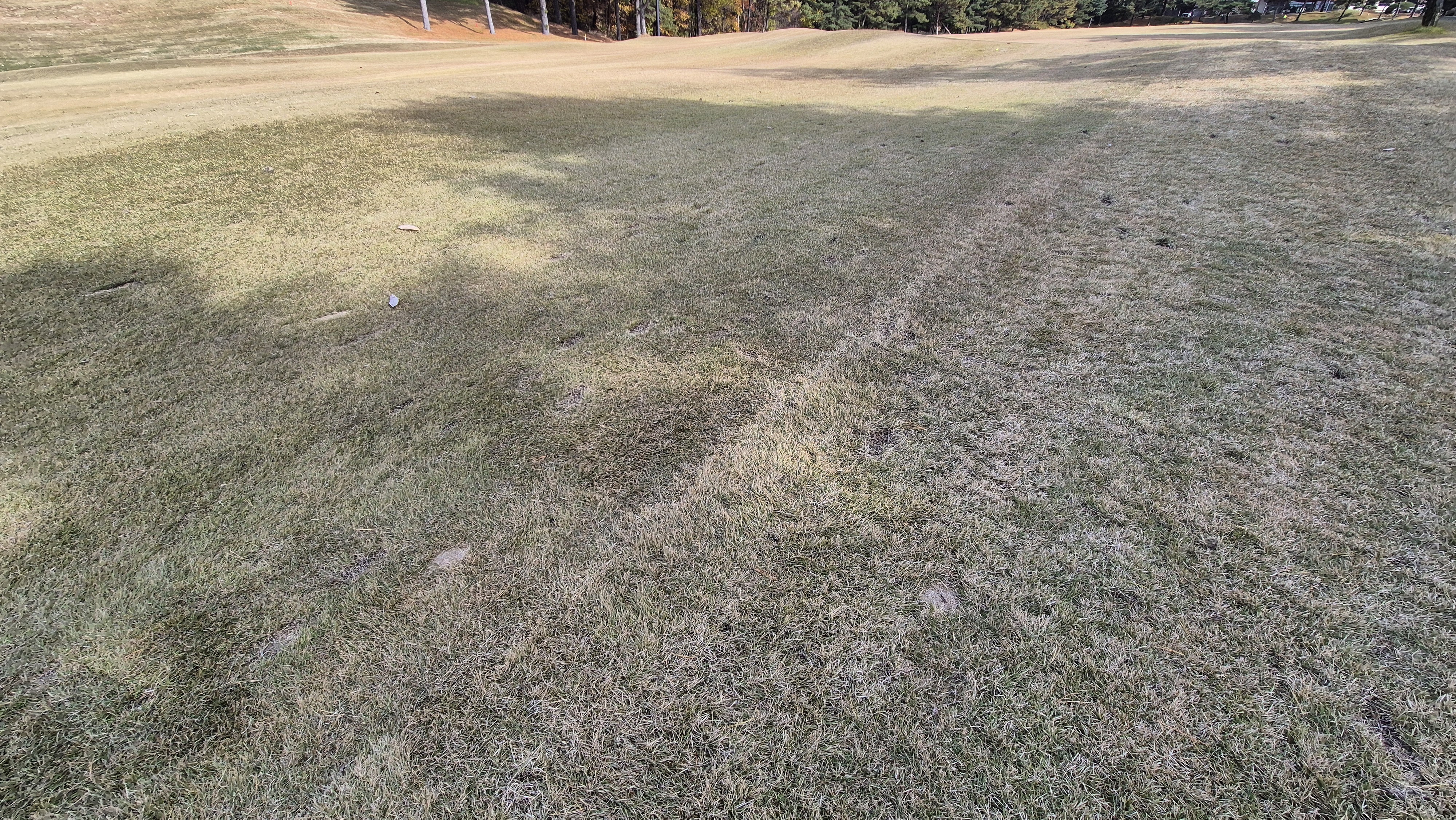 세종에머슨cc 밸리-마운틴 코스난이도