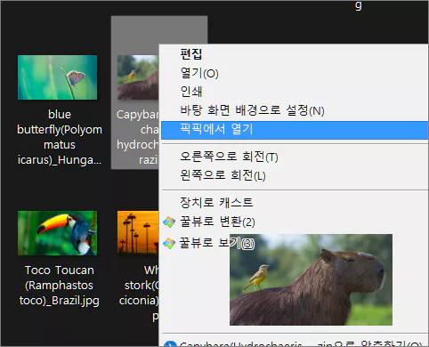 마우스 우클릭 메뉴 '픽픽에서 열기' 만들기