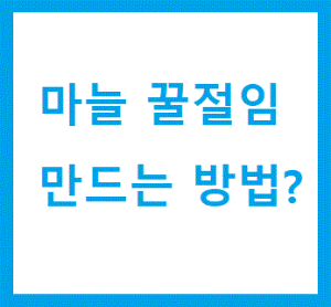 마늘 꿀절임 만드는 방법 글