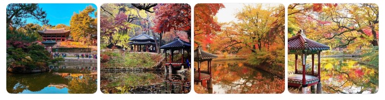 서울 창덕궁 후원의 아름다운 가을 단풍과 연못 정자 풍경