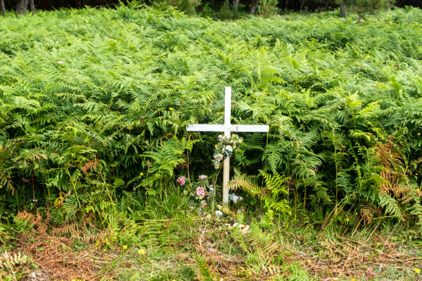 사람이 죽은 꿈 해몽