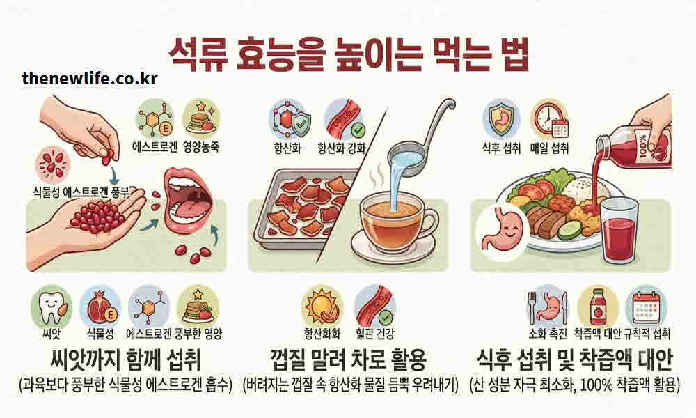 석류 효능 높이는 먹는 법