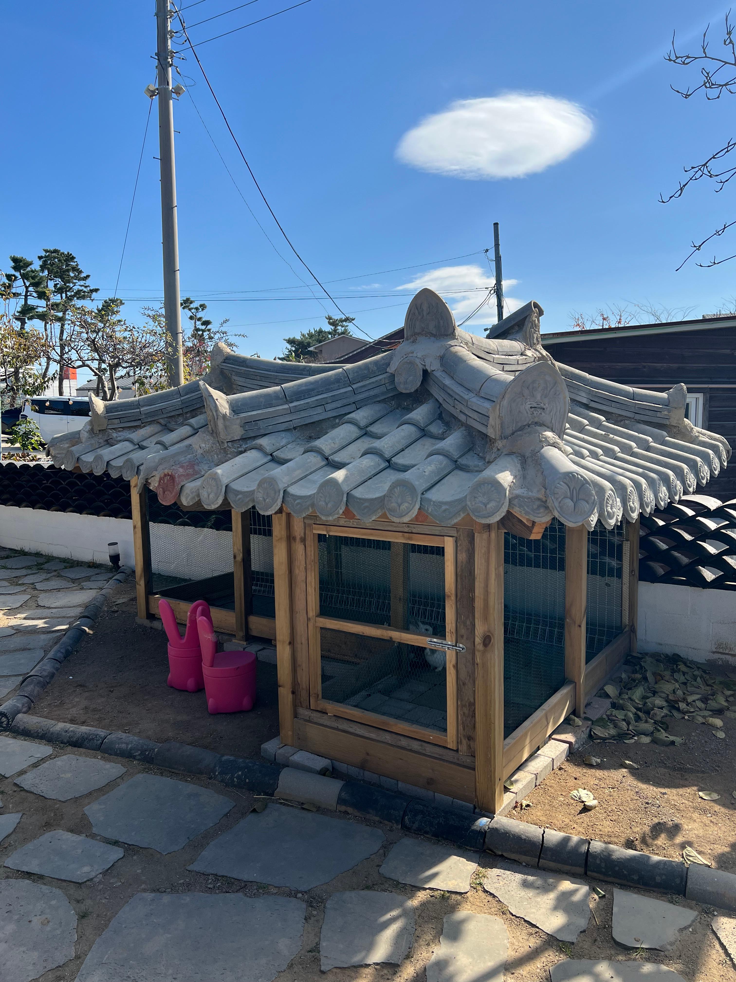 안초당 토끼 체험