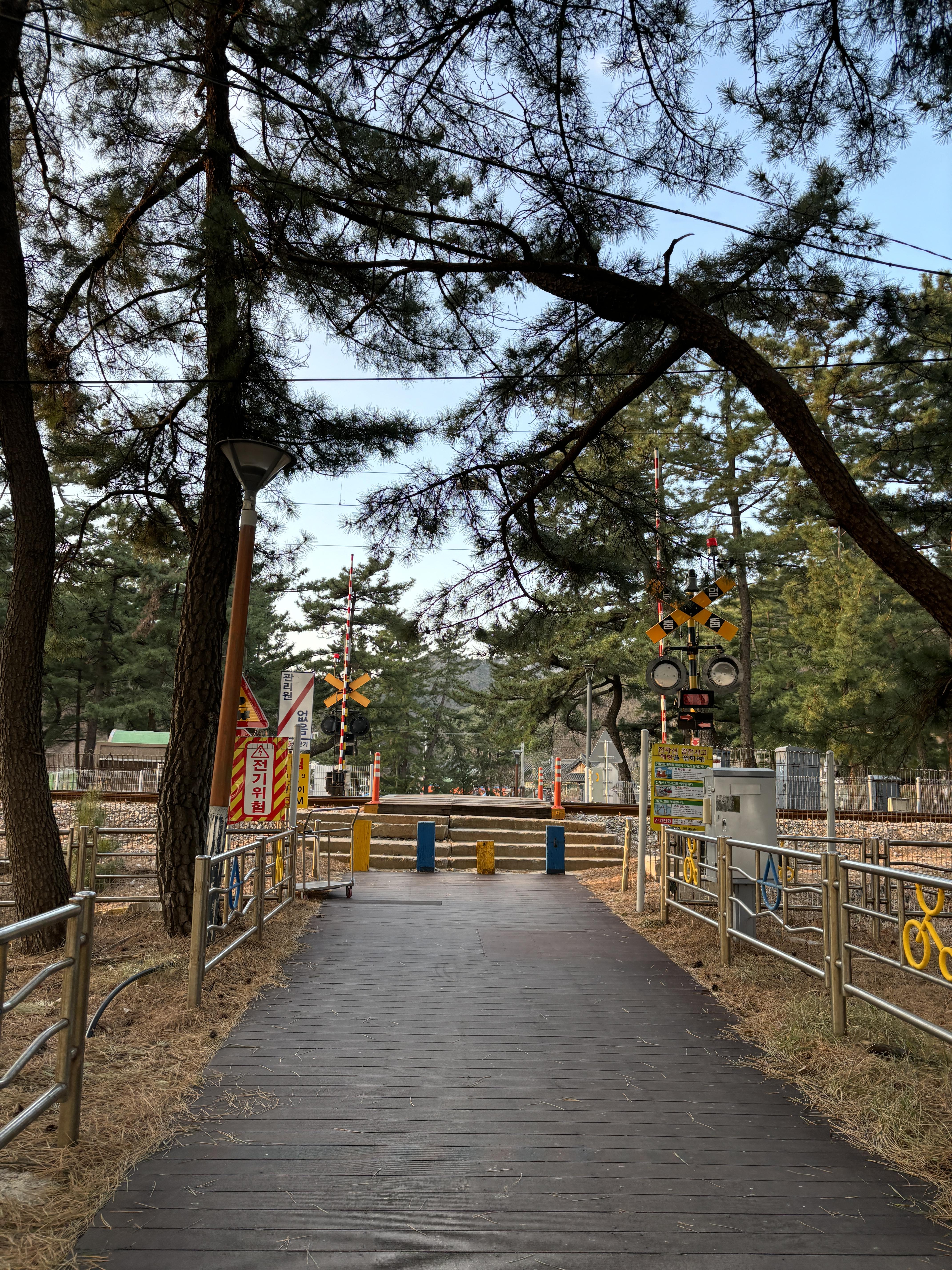 정동진 가볼만한 곳