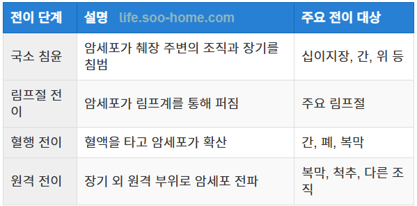전이가 이루어지는 과정