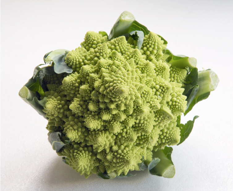 세계의 극한 미식 도전: 가장 특이한 식재료