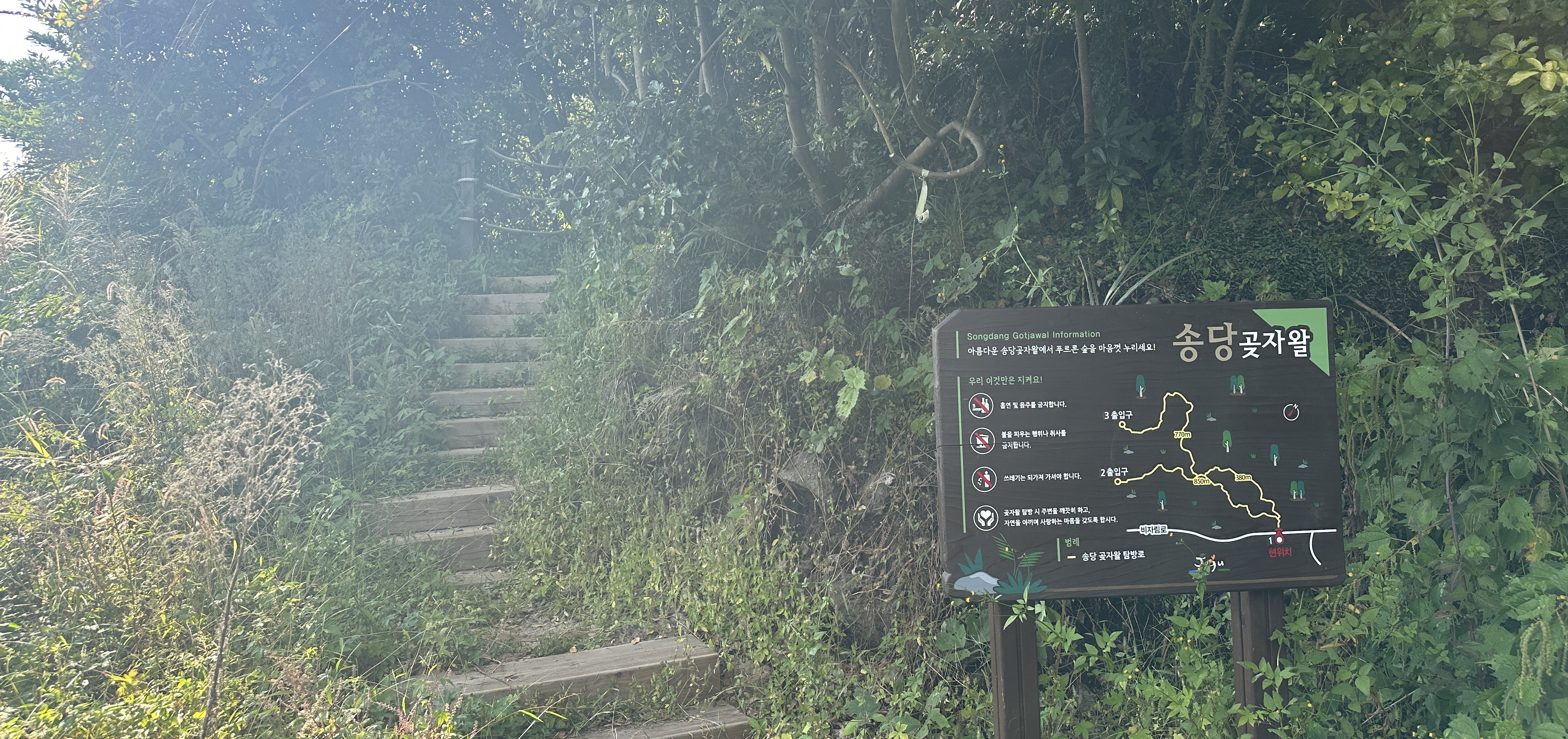 송당곶자왈 입구