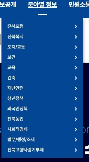 복지, 교통, 보건 등 분야별 정보 메뉴 화면