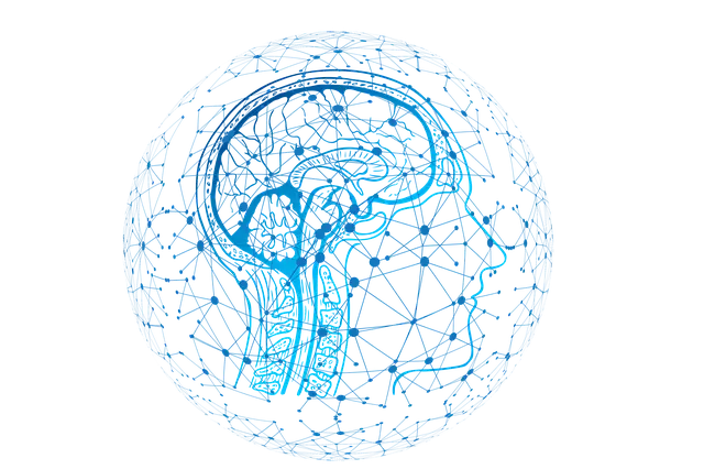 환각과 착각의 뇌과학: 우리의 뇌는 왜 착각을 할까?