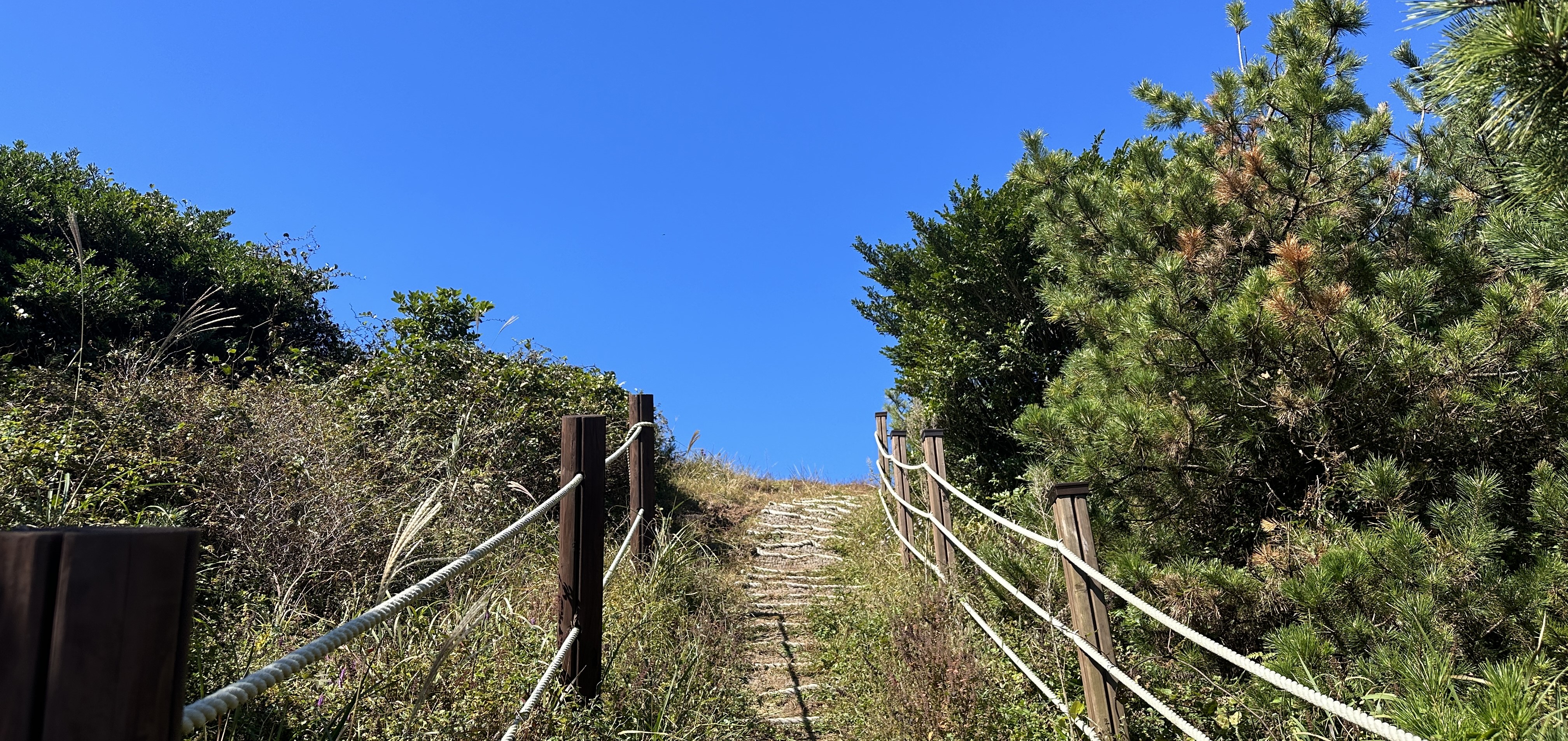 높은오름 탐방로