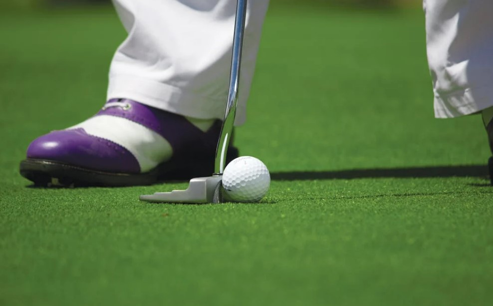 2025 골프회원권 가격 시세 완전정리