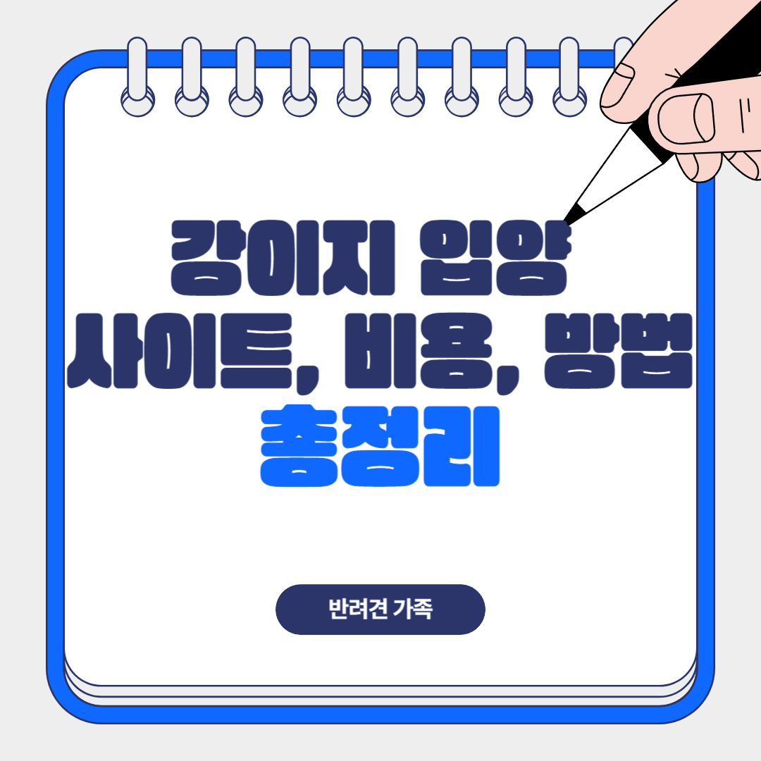 강아지 입양 사이트, 비용, 방법 총정리 – 반려견 가족 되기 전에 꼭 알아야 할 것들