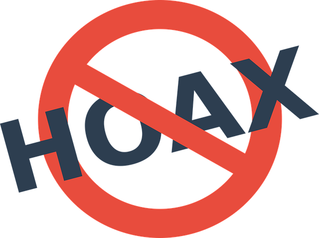 전세사기 피해자 지원