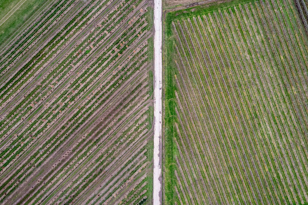 Agricultural land