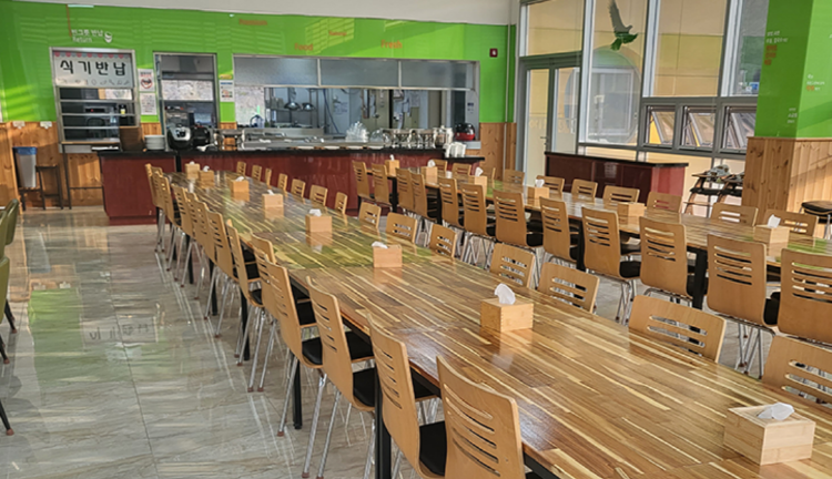 동해 무릉건강숲