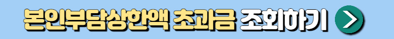 본인부담상한액 초과금 조회