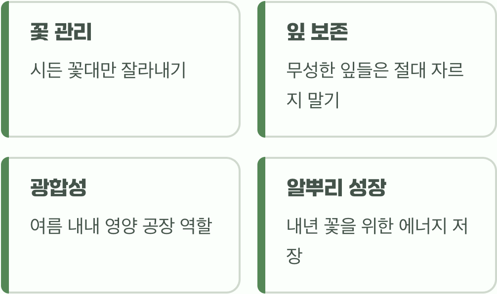 꽃이 진 뒤 시작되는 진짜 이야기