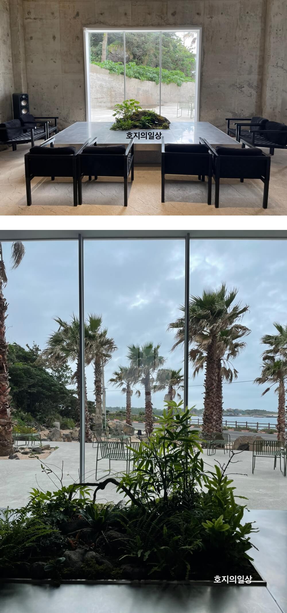 제주 구좌 카페 맛집 꼬스뗀뇨 - 창가 좌석