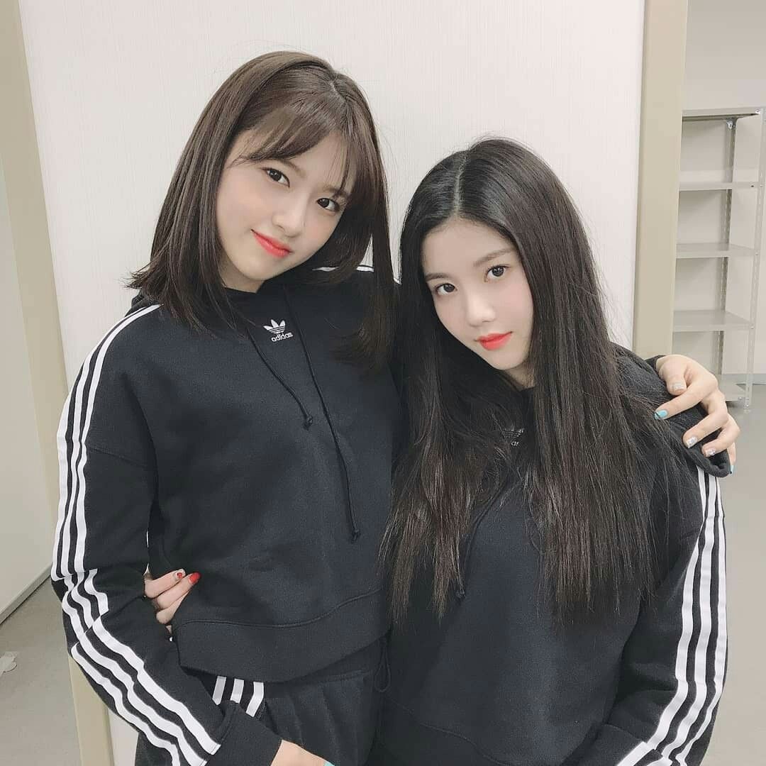 아이즈원 프로듀스48 사진 모음 아이즈원 프로듀스48 사진 모음