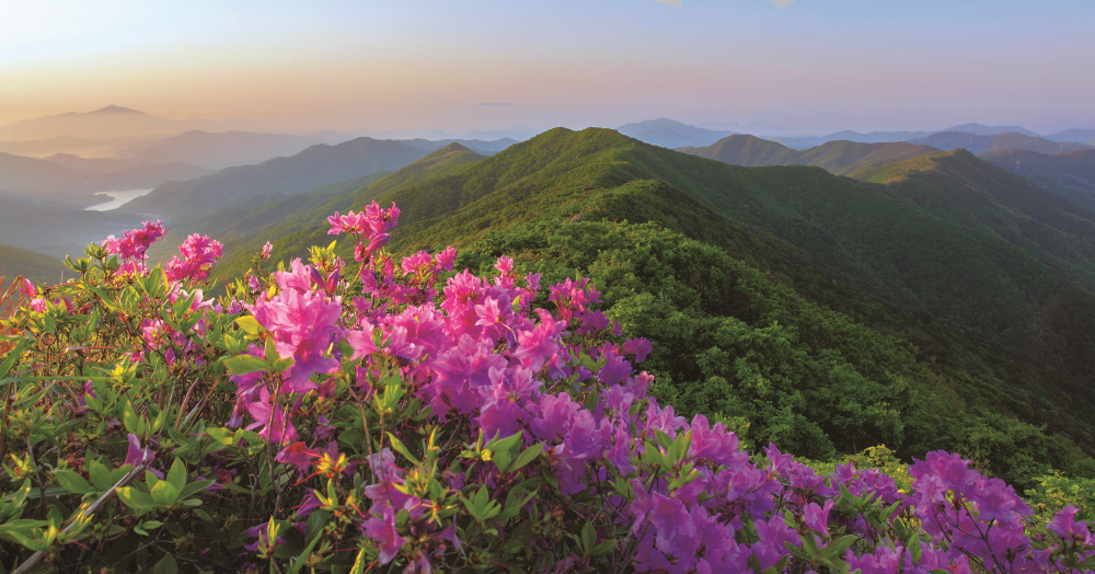광양 백운산 등산코스