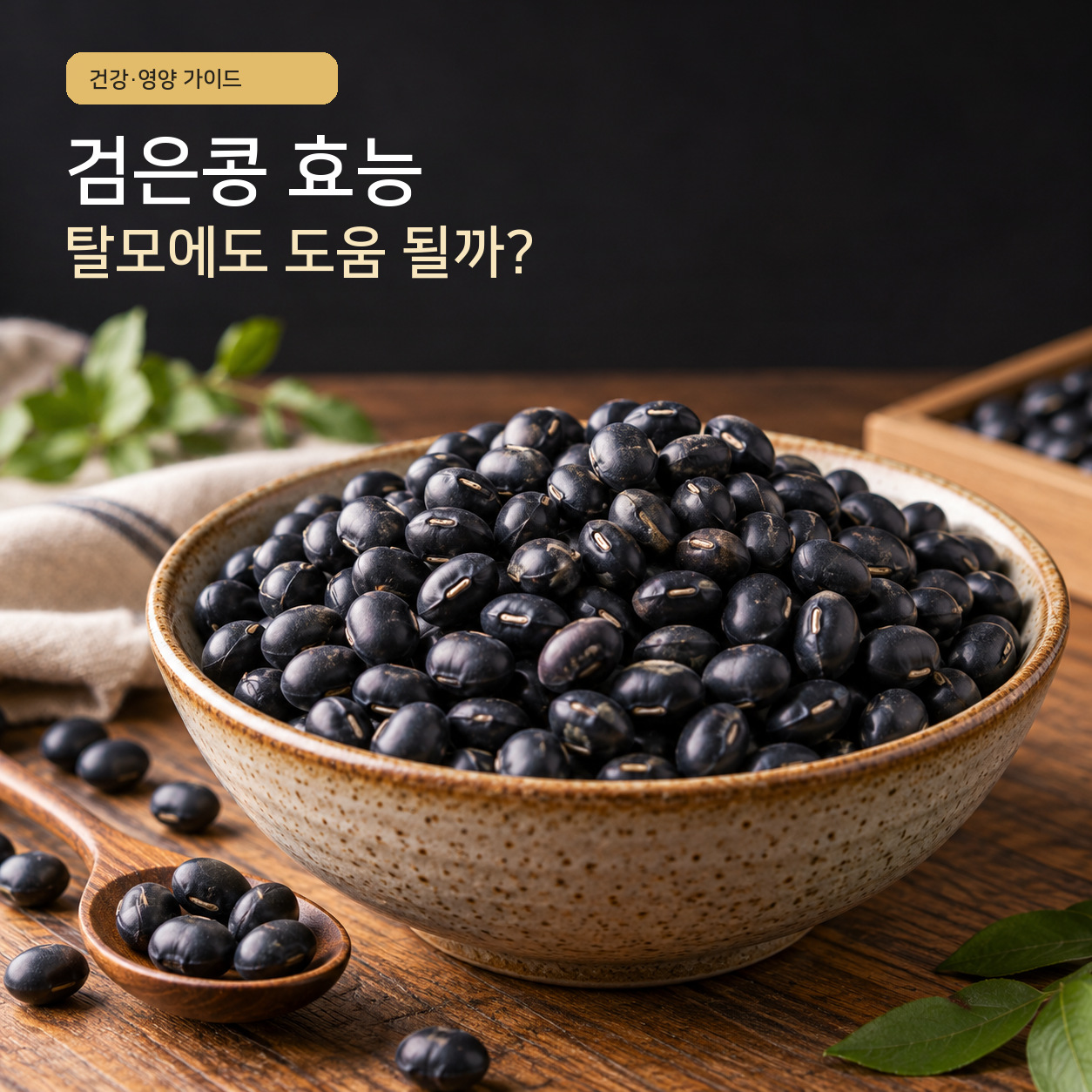나무 식탁 위 도자기 그릇에 가득 담긴 검은콩과 검은콩 효능 및 탈모 관련 질문을 담은 대표 이미지