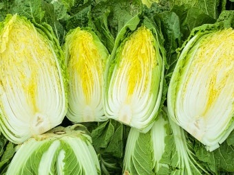 2025년 절임배추 사전예약 꿀팁!