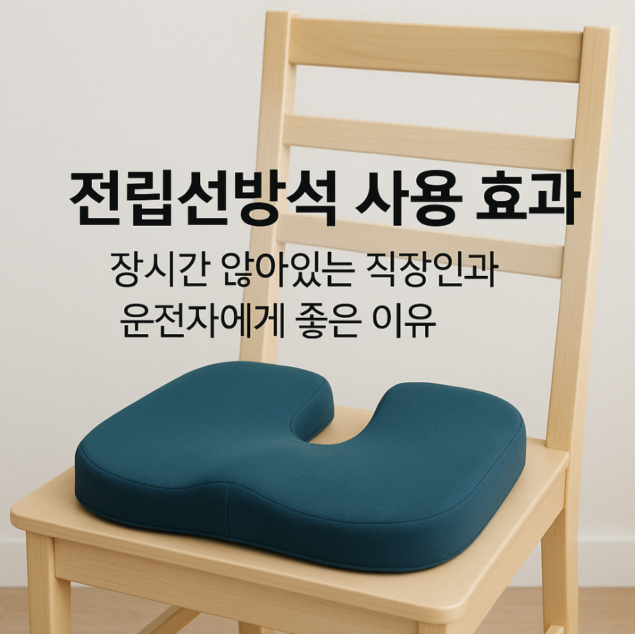 전립선방석 사용 효과 – 장시간 앉아있는 직장인과 운전자에게 좋은 이유