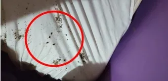 침구 진드기 햇볕 건조와 고온 살균 보관법_6