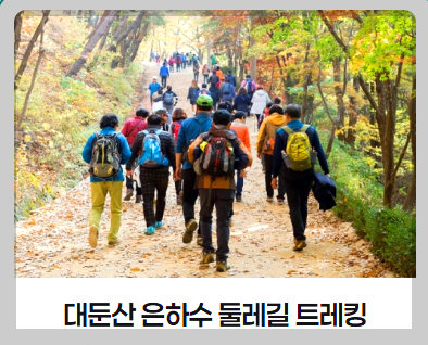 대둔산축제