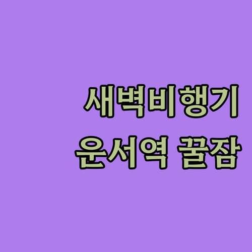 인천공항 새벽 비행기 타기 좋은 운서..