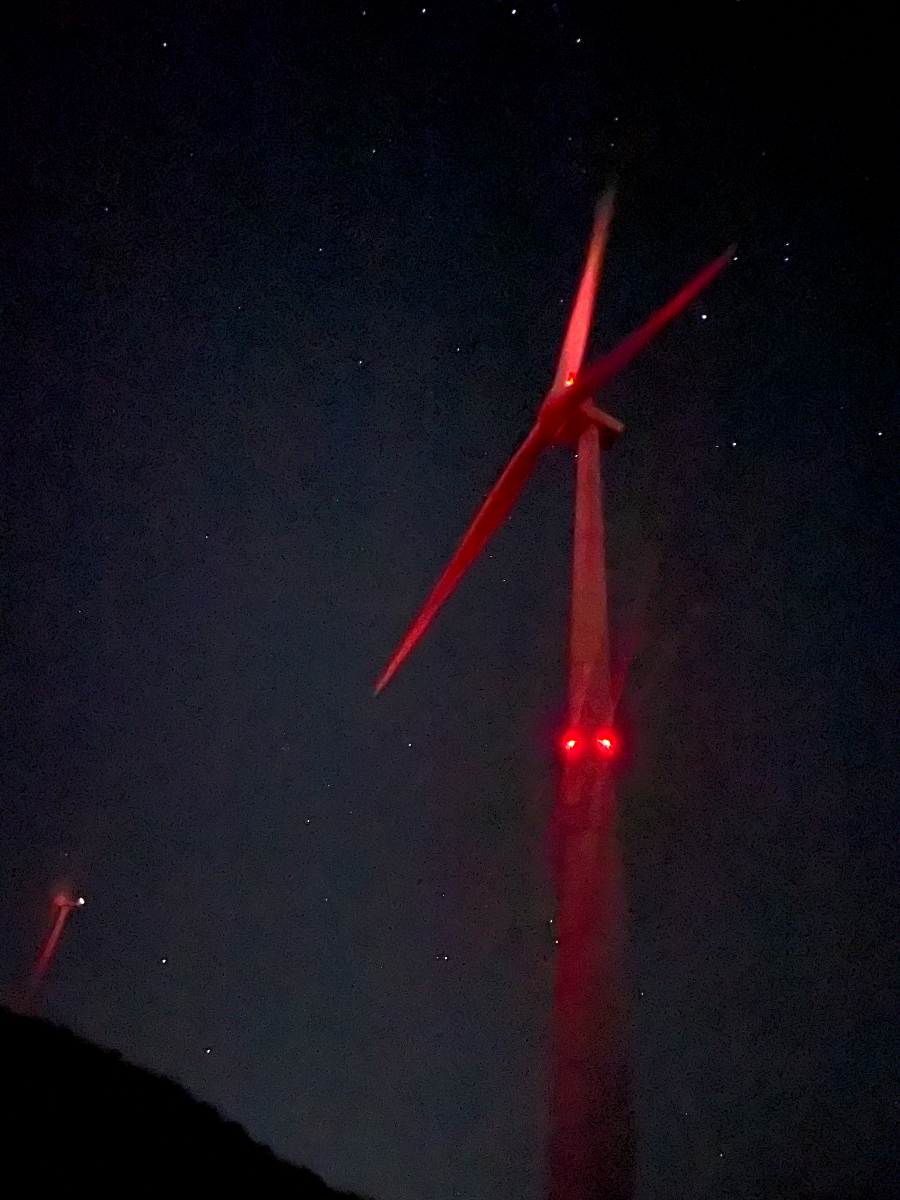 추운 겨울 정선 2박3일 여행 가볼만한 곳