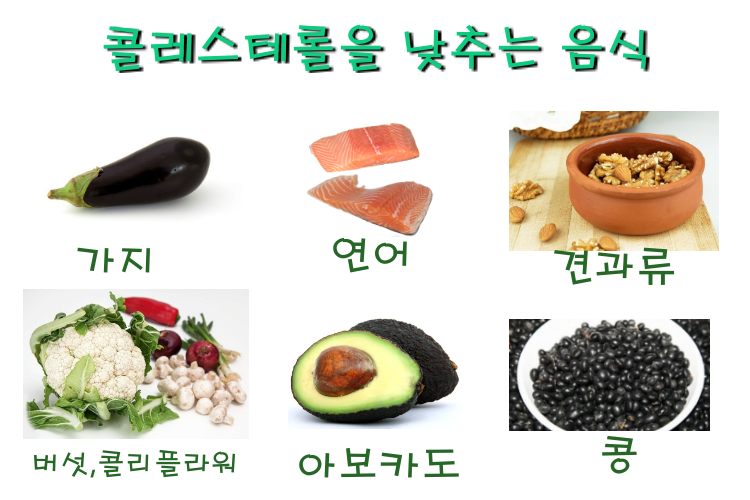 콜레스테롤 낮추는 음식: 건강한 식습관으로 시작하는 변화