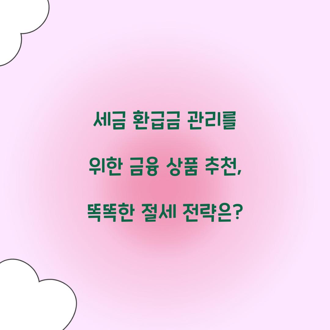 세금 환급금 관리를 위한 금융 상품 추천