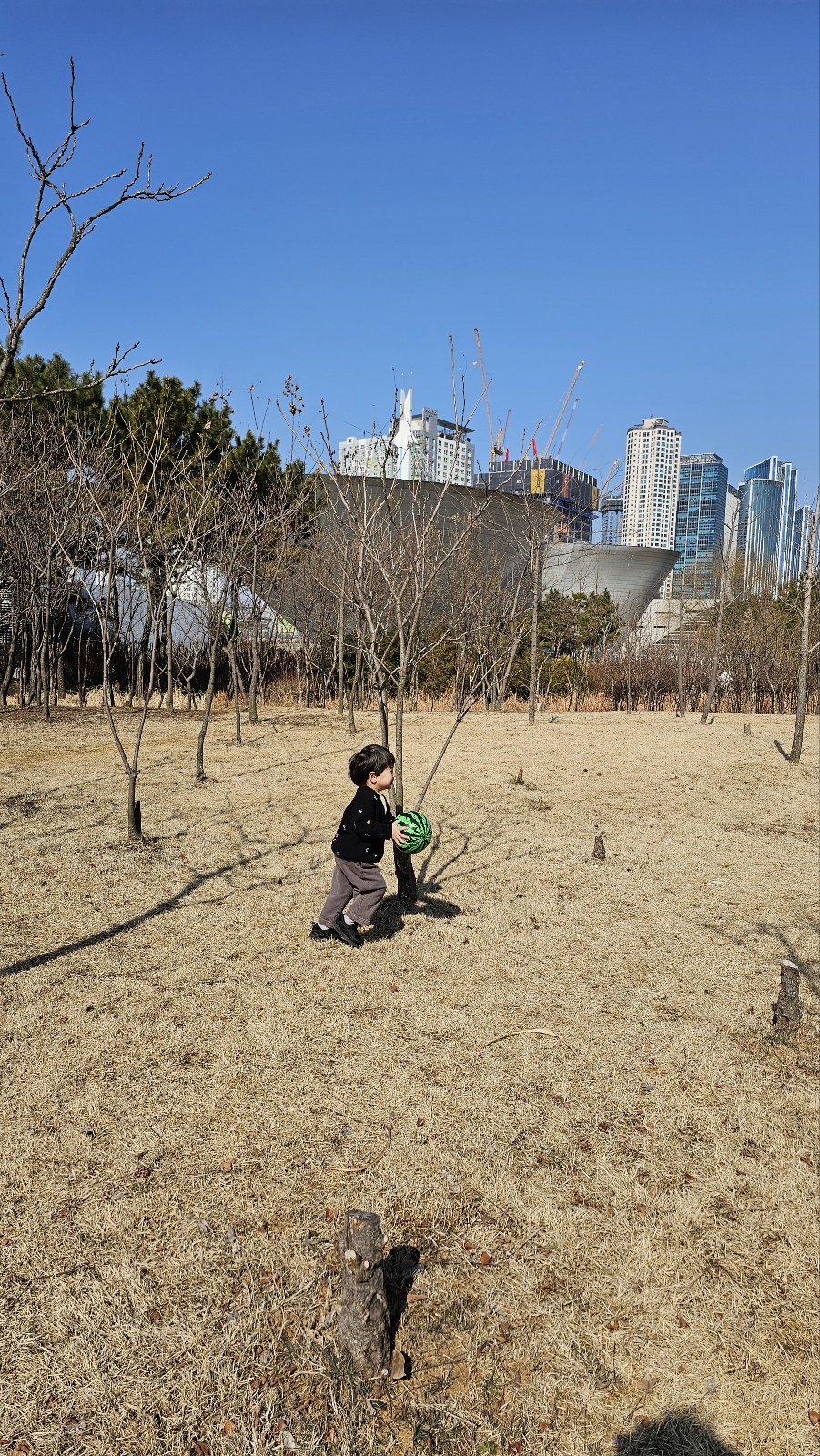 ※ 송도센트럴파크