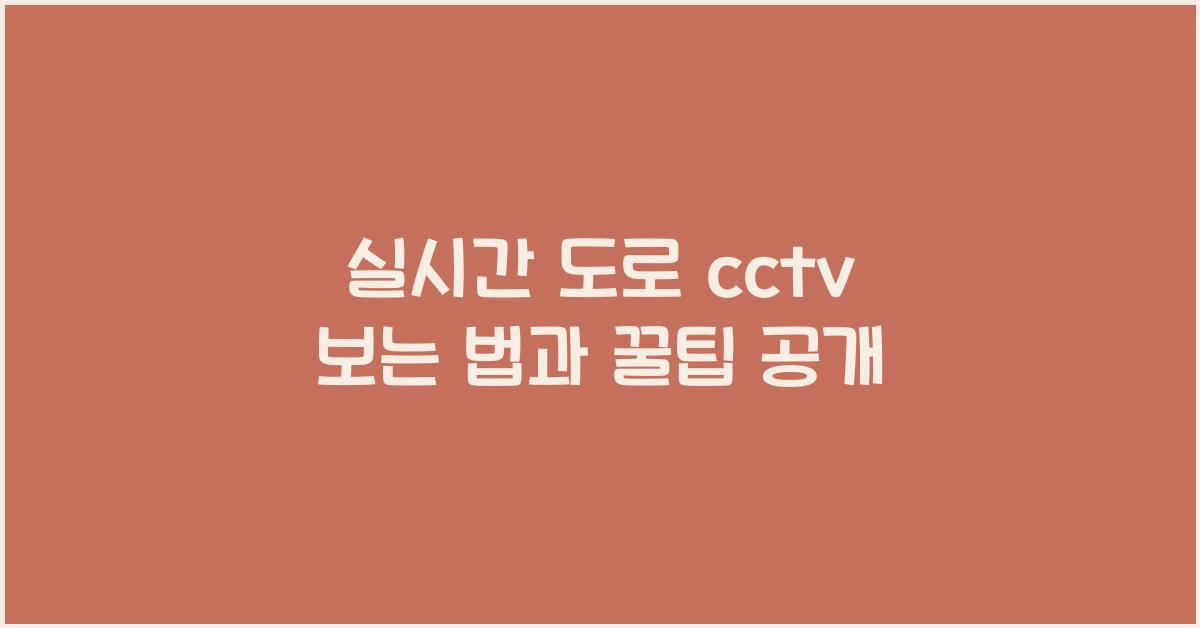실시간 도로 cctv 보는 법
