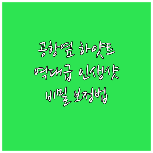 보즈먼 옐로스톤 공항 근처 하얏트 플..