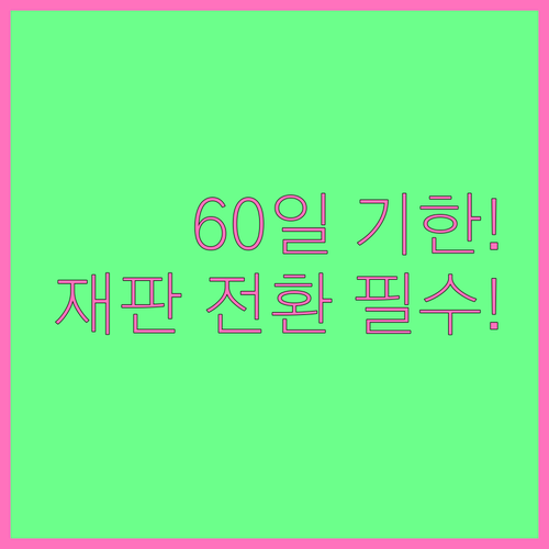 과태료 이의신청 바로 진행: 60일 ..