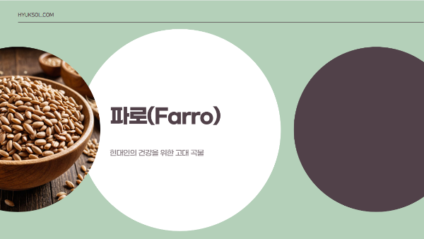 고대 곡물 파로의 효과와 효능