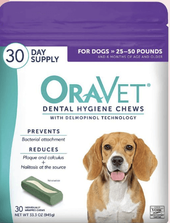 오르벳 덴탈 츄