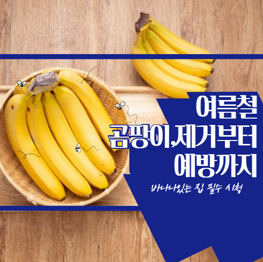 여름철 곰팡이 제거